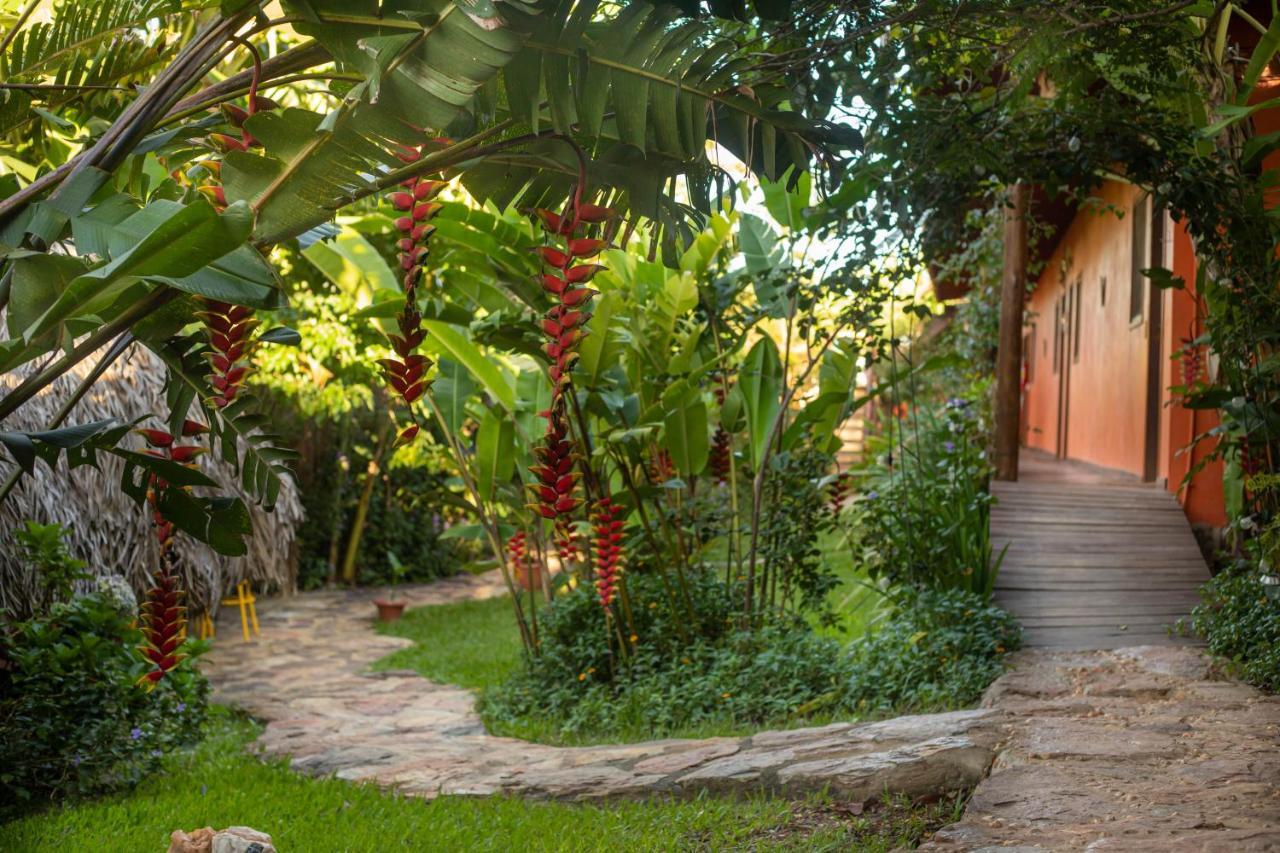 Buddy'S Hostel & Pousada Alto Paraiso Alto Paraiso de Goias Luaran gambar